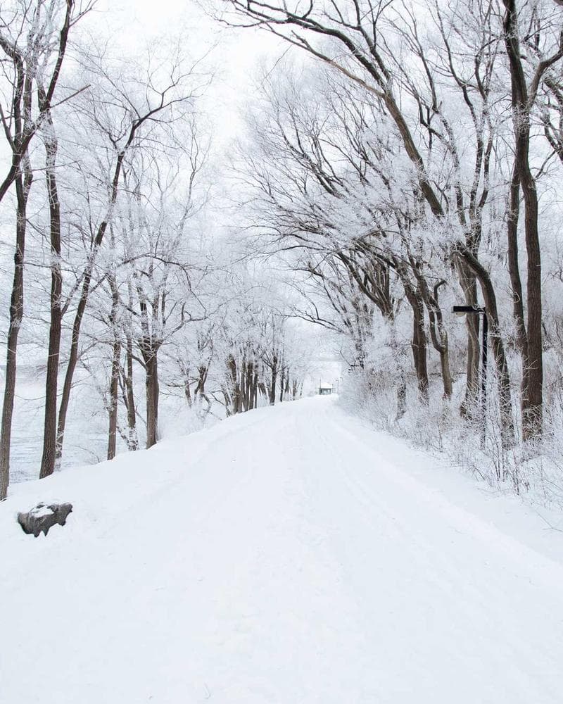 Coffee Culture Conference