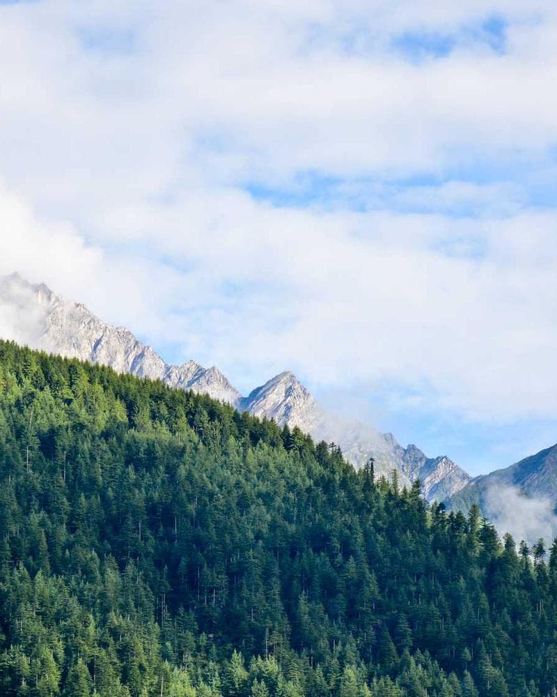 Midnight Culinary Excursion