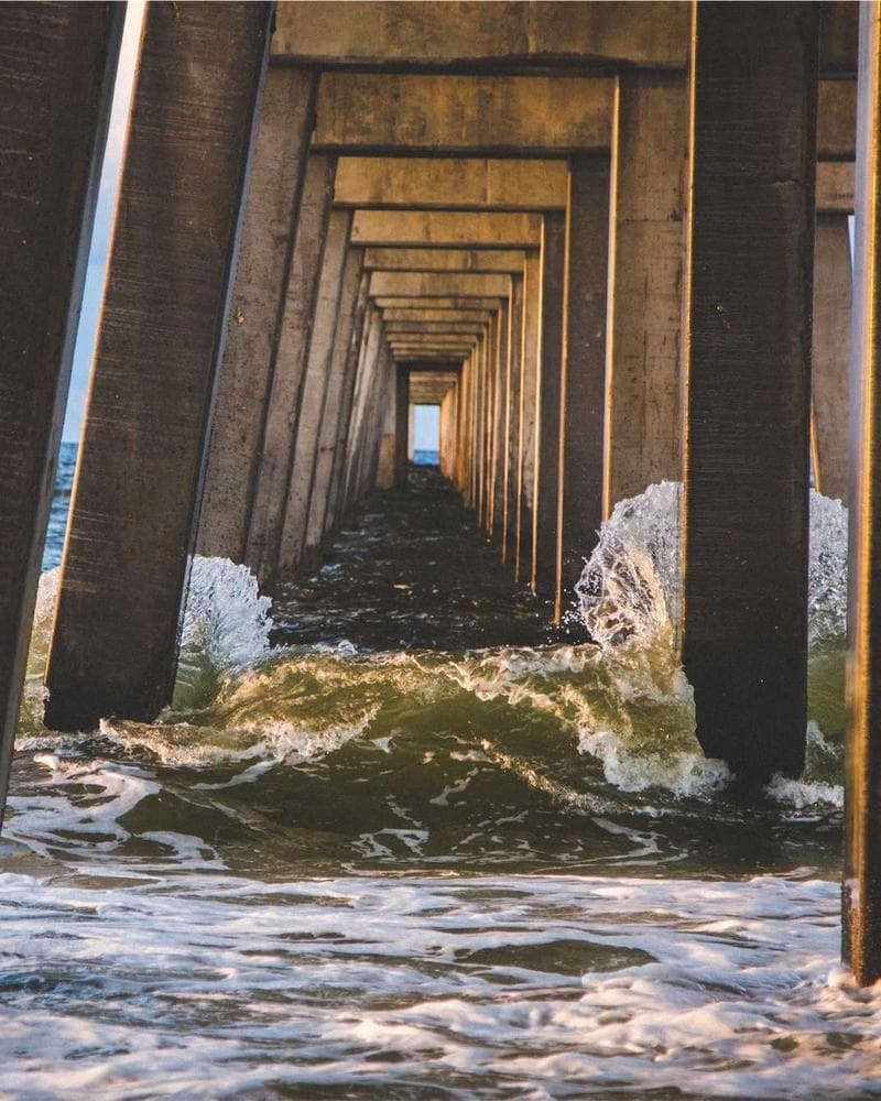 Jazz Under the Stars