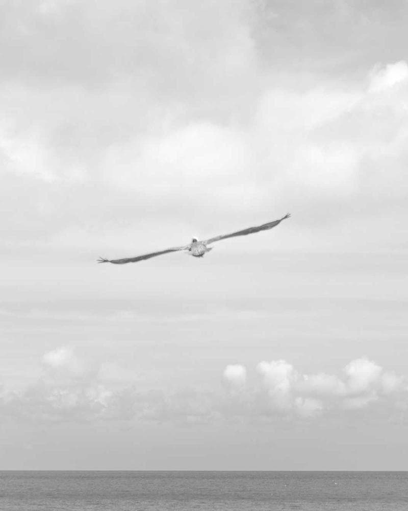 Digital Marketing Masterclass