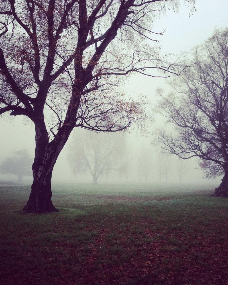 Minimalist Design Expo