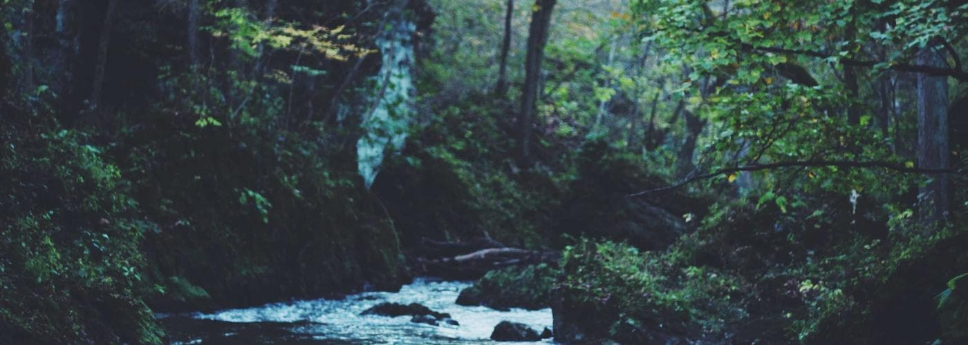 Molecular Gastronomy Workshop cover