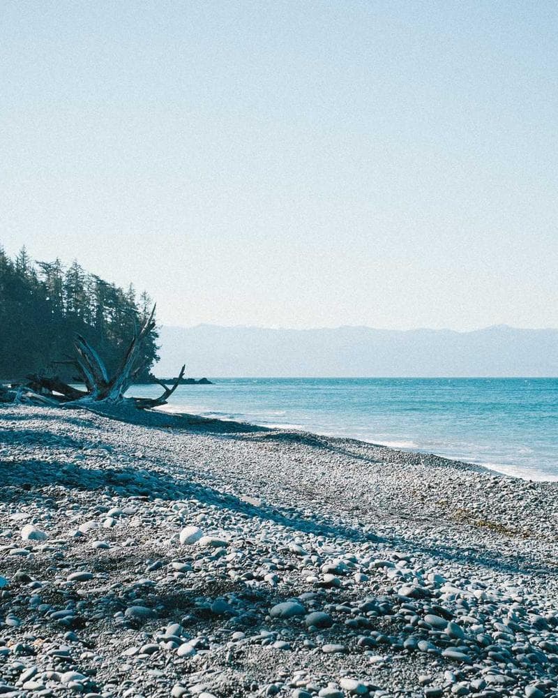 Gourmet Street Food Tour