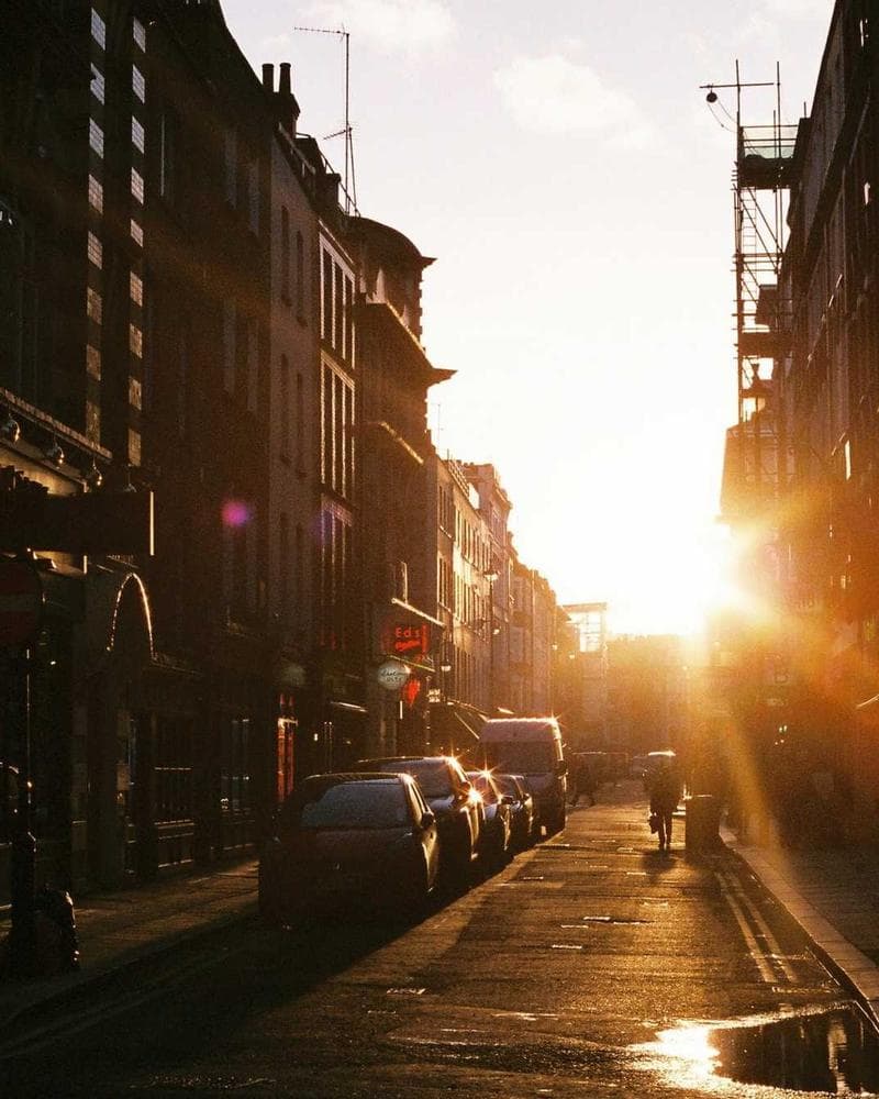 Yoga & Wellness Festival