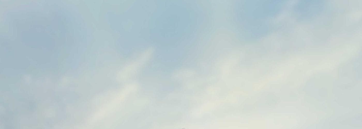 Yoga & Wellness Festival cover